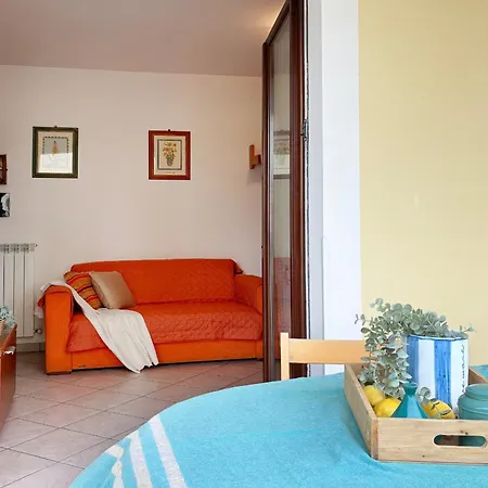 Holihome Sofy Mare Торторето