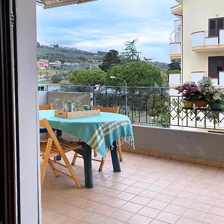 Holihome Sofy Mare *